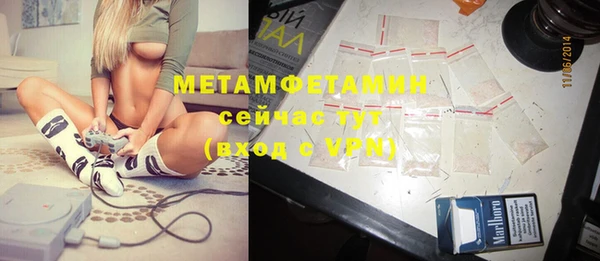 стаф Ельня