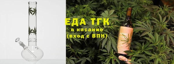 стаф Ельня