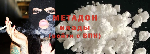прущие грибы Елизово