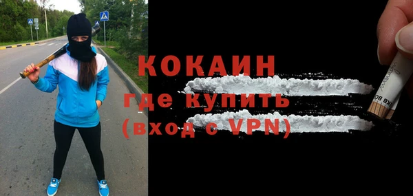 прущие грибы Елизово