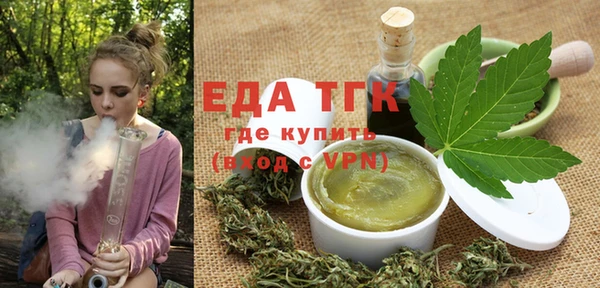 стаф Ельня