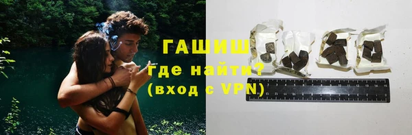 стаф Ельня