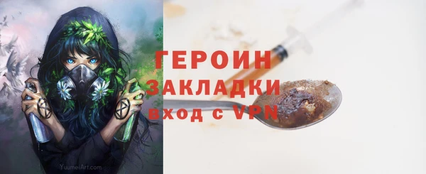 прущие грибы Елизово