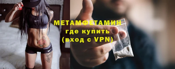 прущие грибы Елизово