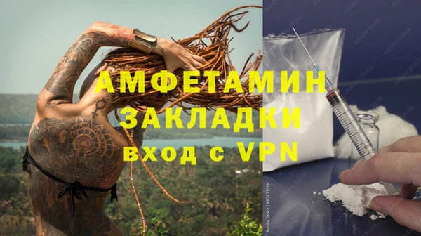 стаф Ельня