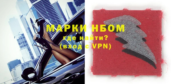стаф Ельня