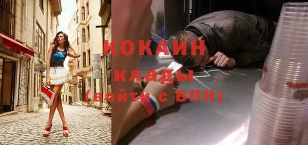 стаф Ельня