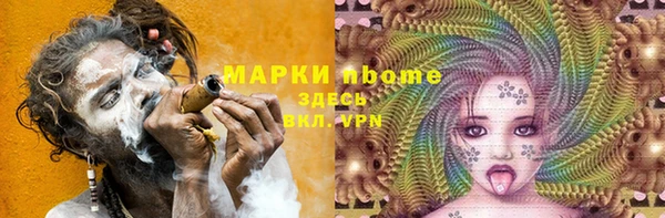 прущие грибы Елизово