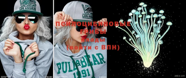 стаф Ельня