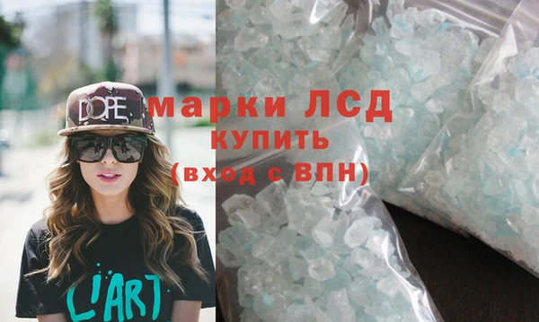 стаф Ельня