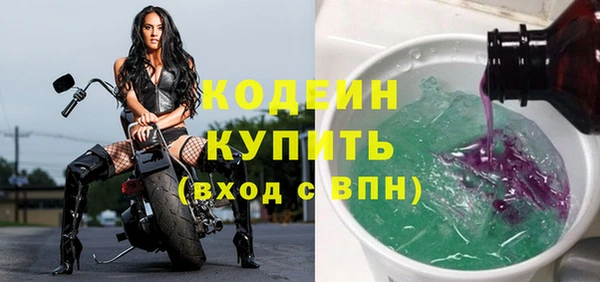 прущие грибы Елизово