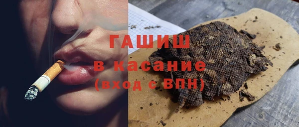 прущие грибы Елизово