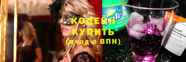 прущие грибы Елизово