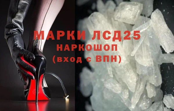 стаф Ельня