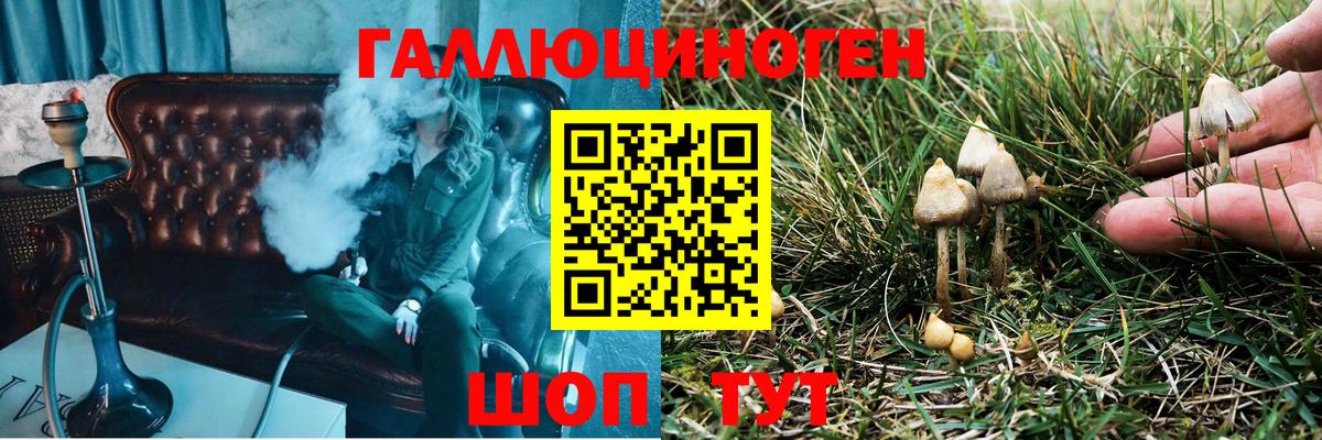 где можно купить наркотик  Псилоцибиновые грибы GOLDEN TEACHER  Вход с VPN  Среднеуральск 