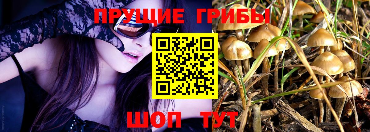 Галлюциногенные грибы мухоморы Среднеуральск